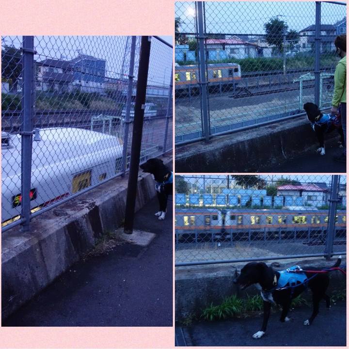 0ac7d5bd 48cd 4cac 94c7 7a8b9ff68125 1621161733734