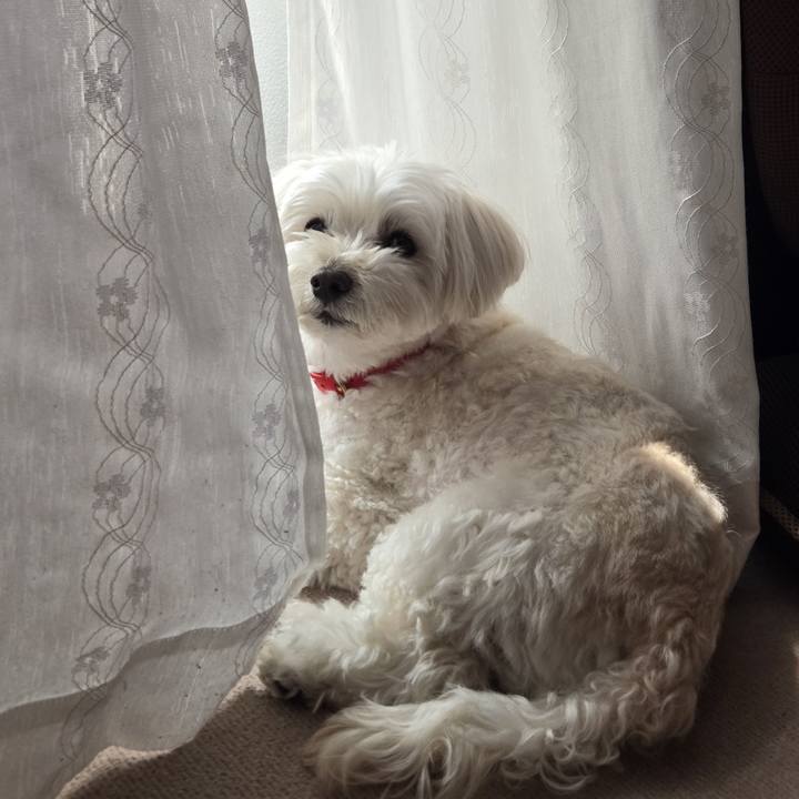 0ac894fd 5638 4ece ae54 8736a8930dc7 1774752846785