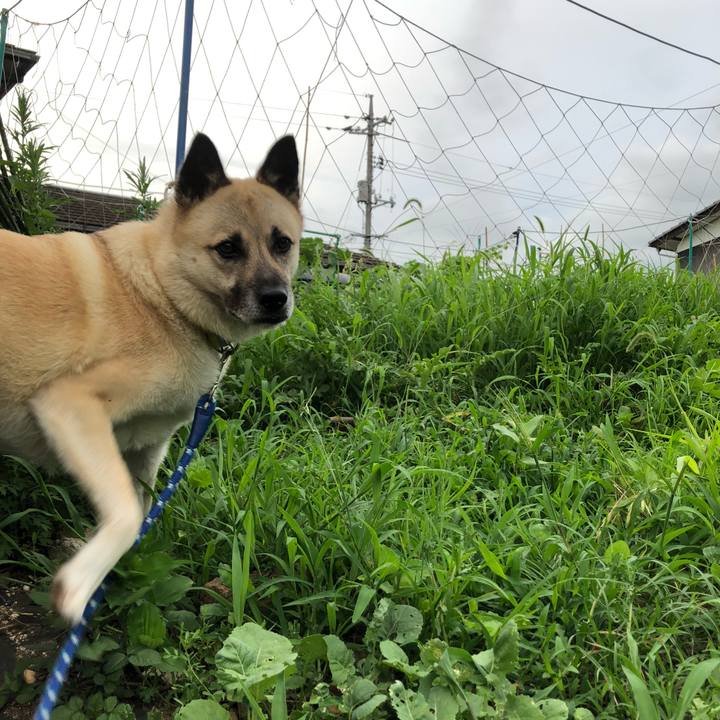 0ac8ea38 9812 4ef6 a7e2 b4df0bf1b50f 1625574865139