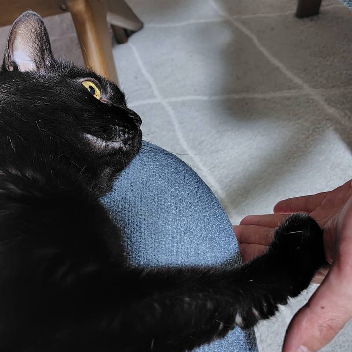 0ac916e6 2cf9 4a91 bddd 9c4eb29b236f 1720179240417