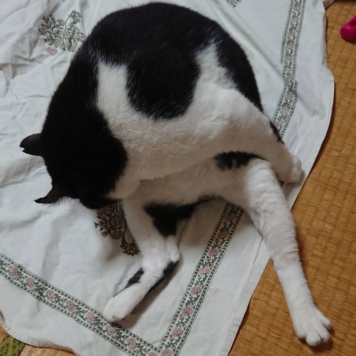 0ac95ea9 1afa 44a1 9b2b 35f7488cb480 1529034148021