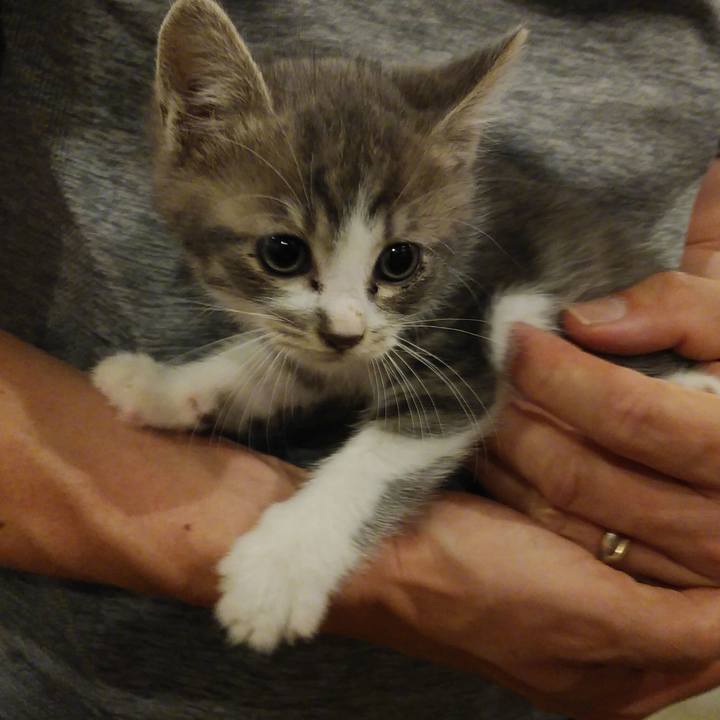 0ac982d4 24ab 4541 990f 7c4b440872d5 1560222241055