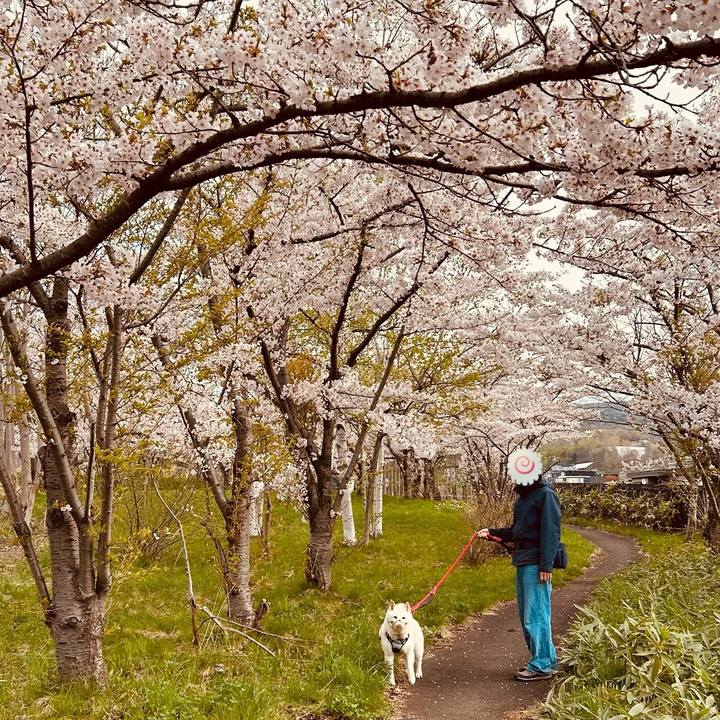 0ac98845 8bab 41c7 b67f 58bcef32bf09 1746483404024