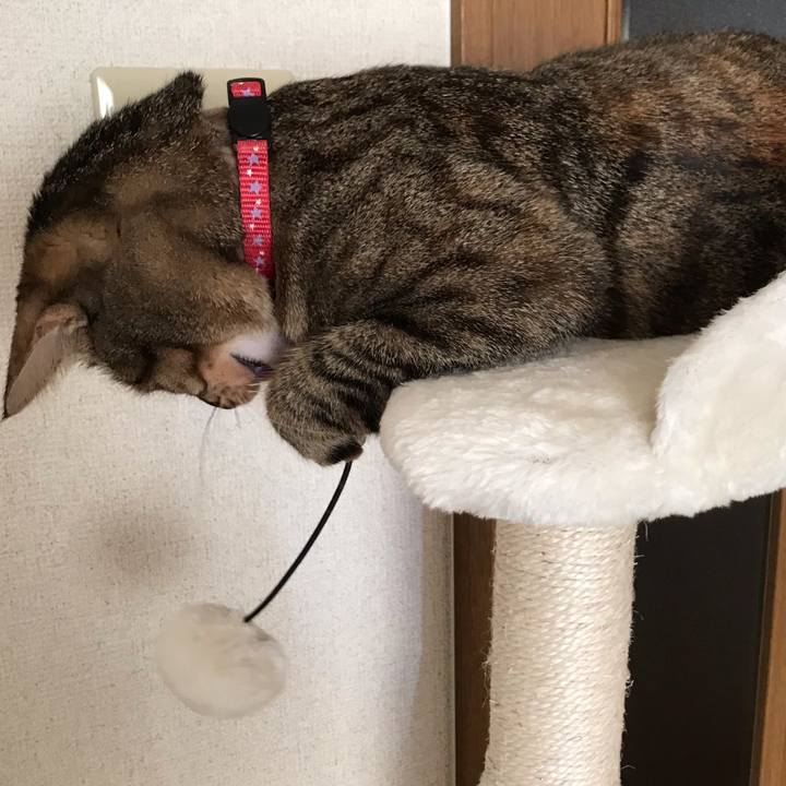 0ac9b1b0 13aa 40fa b41c 17ddeb13b3b6 1596582602297