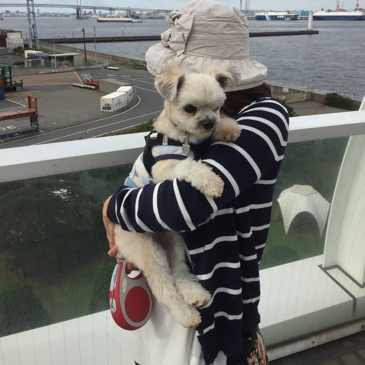 0ac9c74e 5227 41bb 9b33 6f9070e4870f 1539560265439