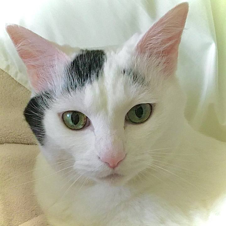 0aca0ee3 7963 4fb8 92b1 02e7d183cfe6 1592966226312