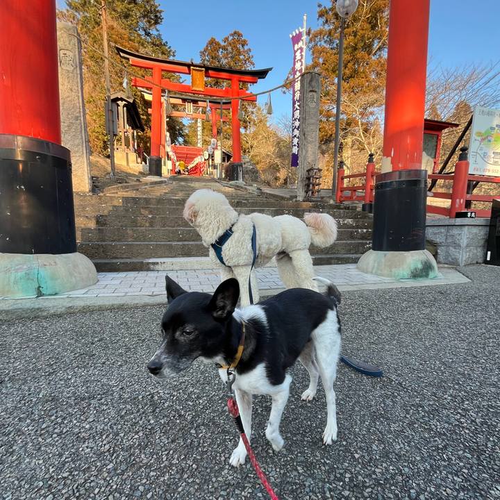 0aca1305 776f 4040 9157 5c23da415c1b 1707833093572