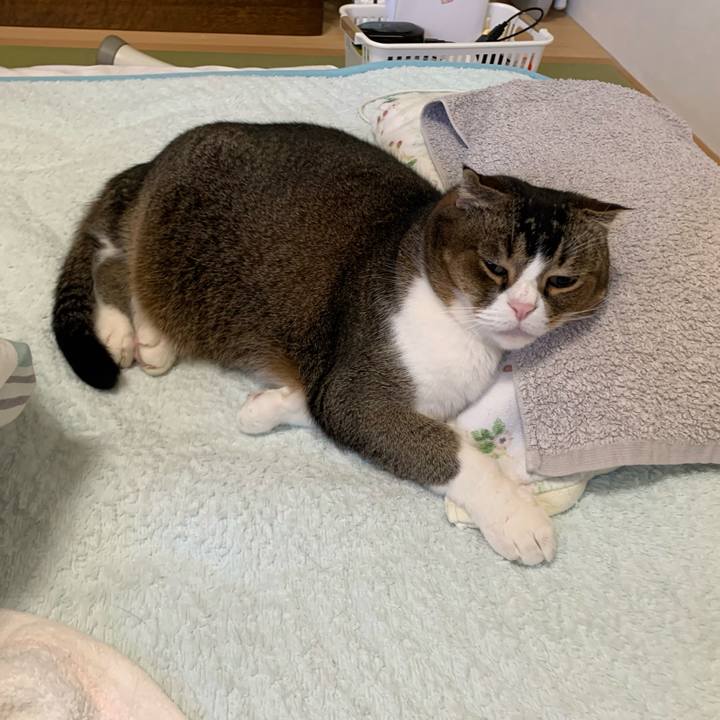 0aca2d95 8374 43b0 8371 e98864183665 1670298739908