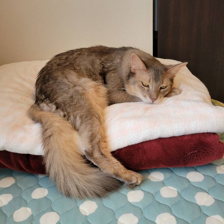 0aca47c6 15d4 40a0 b162 1bedb789773c 1631662736029