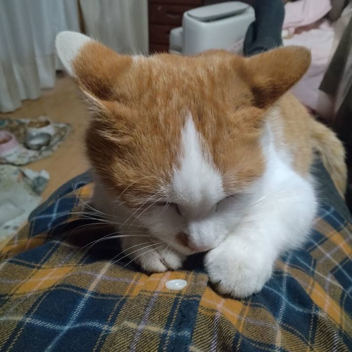 0aca981a 2ce2 4041 a0c7 8d06c44b62cc 1767159284261