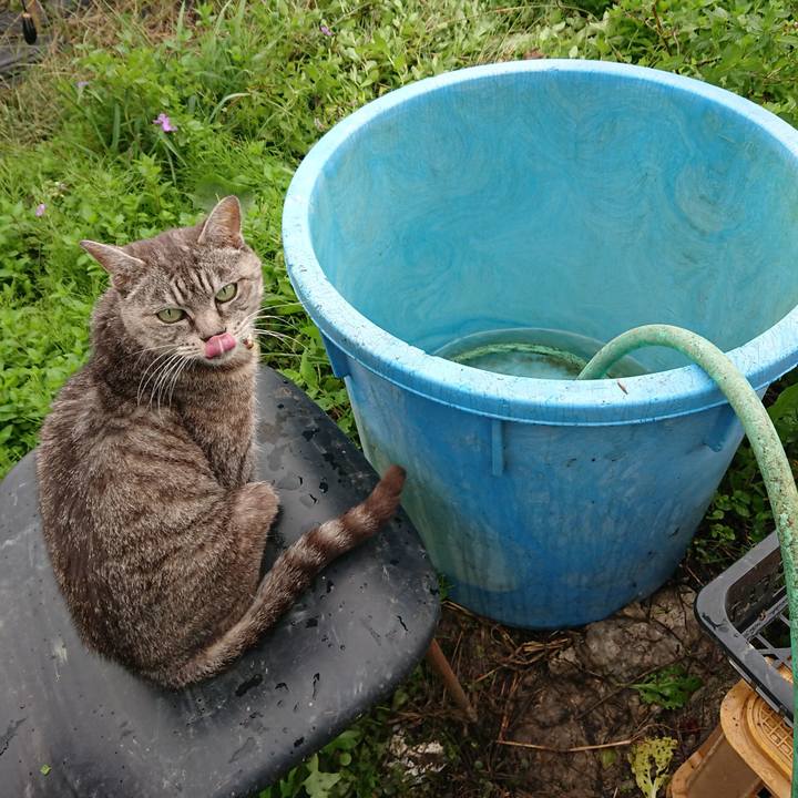 0acacf7d 27a9 4d13 a5c7 0c20d0c8a9fb 1571025554524