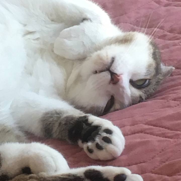 0acb258b f4fb 48e1 84a2 3f7212829105 1654129716384