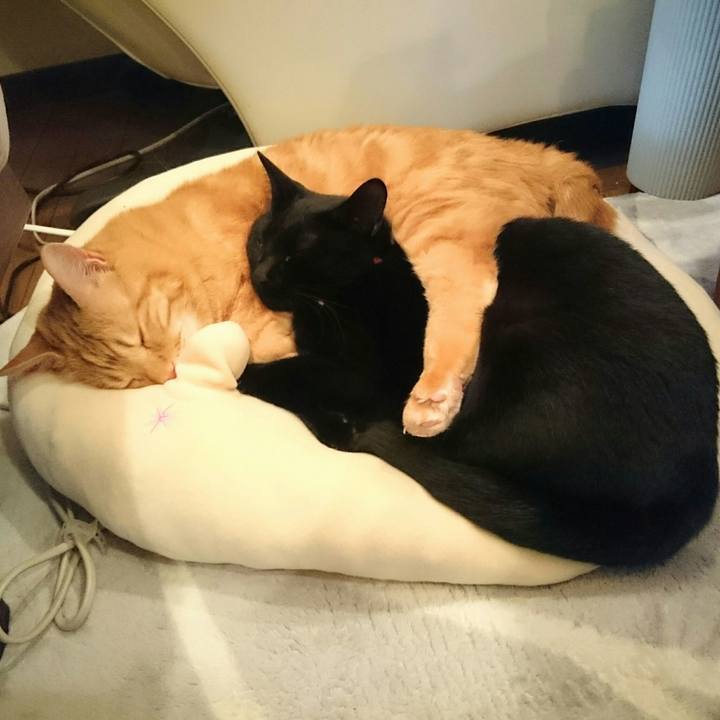 0acb2652 5df8 44fc 854e d4fe4842ec44 1523448513678