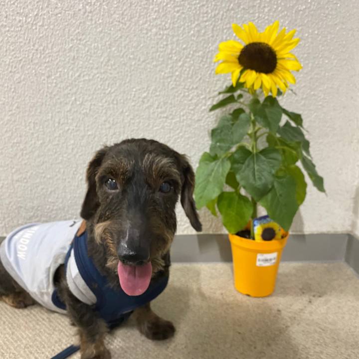 0acb2efc 1310 420d a878 f1d8fa4ec74f 1591972470831