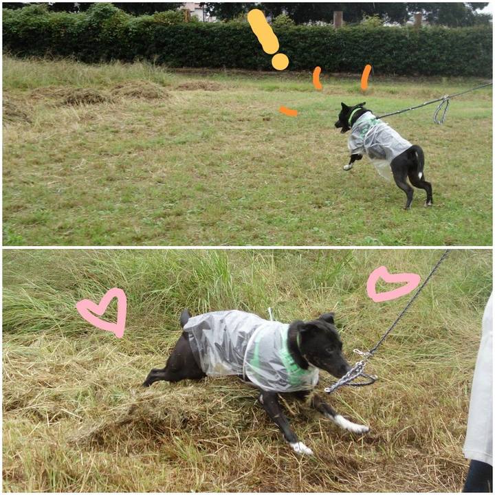 0acb6fc9 3ac1 4ecf 813e 2c9b5e354495 1602892419414