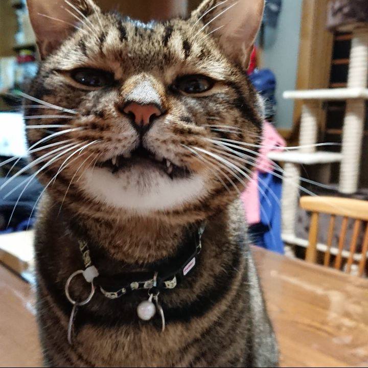 0acbd727 e40e 44df adfd 0744647bb66e 1609184814697