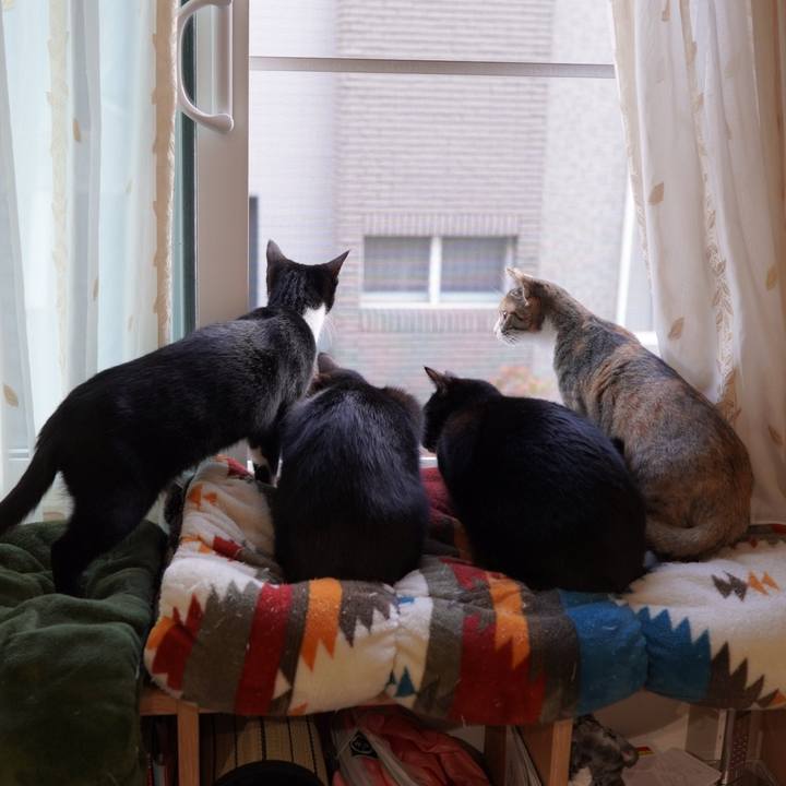 0acbf639 0e12 4df0 abc6 0fe1a1d0f028 1583447440371