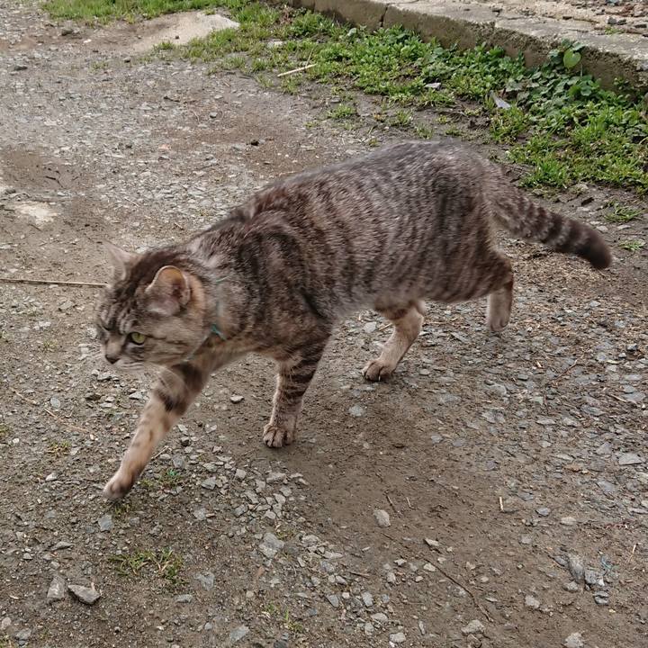 0acc0f82 7612 496f bacd cf1fa311e92e 1553913968040