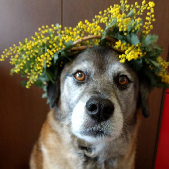 0acc1a86 83ca 473e 92c8 493f9c584713 1553809481661