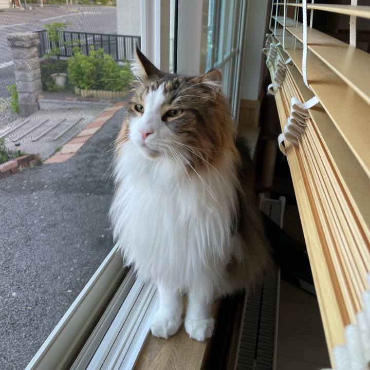 0acc2d1a cdce 410f aafe b21bf241102f 1684957517258