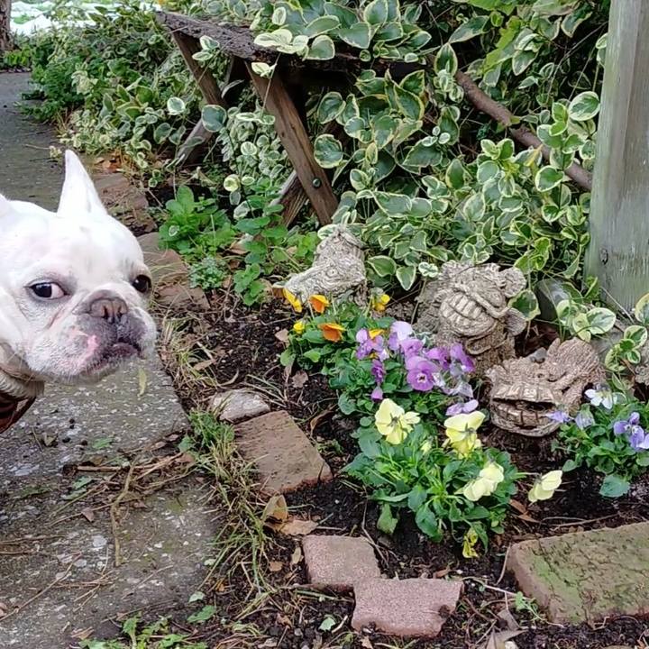 0acc3f53 1114 4773 ac0f c70053c389e6 1670452557633