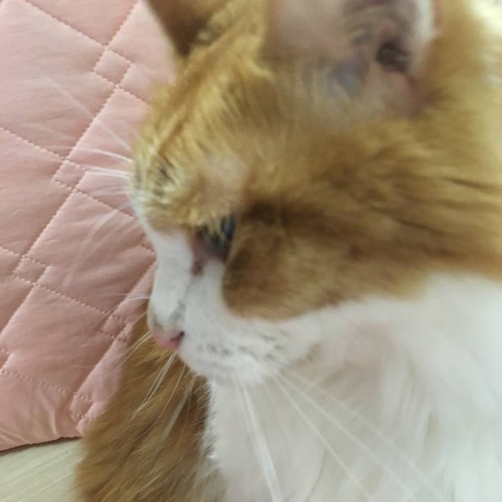 0acc857e d583 4d94 8f33 1426c3beb6c4 1538758266151