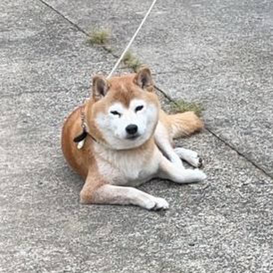 0acc9236 58df 4244 98da 40010cb23744 1664950531596