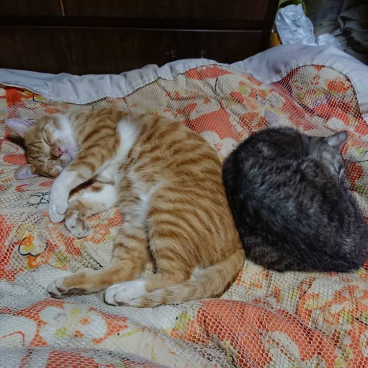 0accc556 279a 4fb9 9a98 78f606545d68 1569329705576