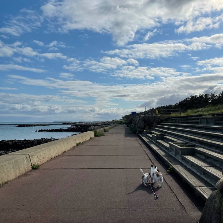 0acccd51 3e1e 411c 9f9e 716482b00e02 1622330617266