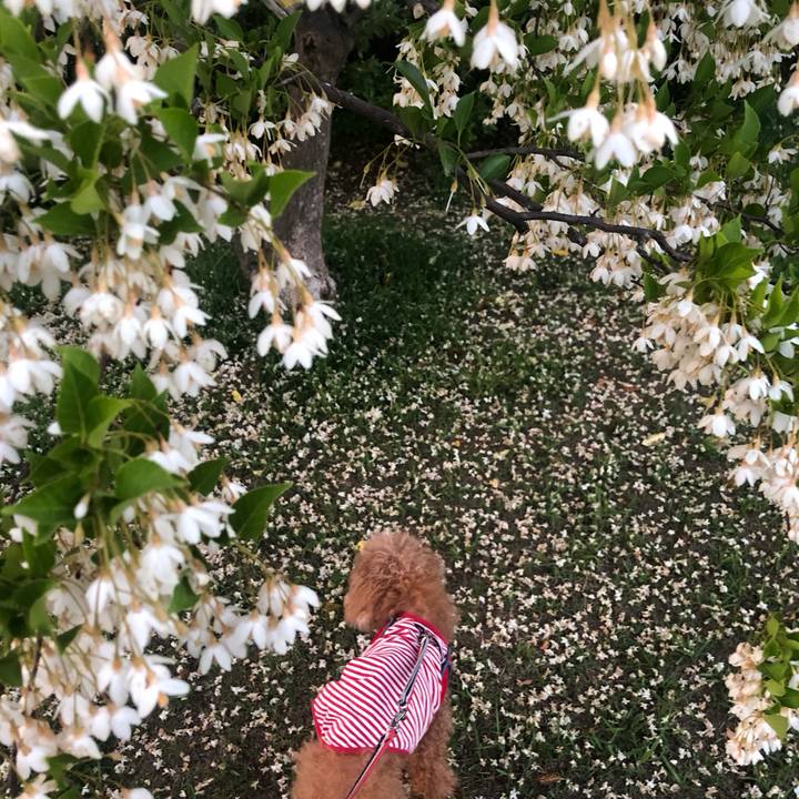 0acd0b01 a463 4fd5 b23f bd017aa7208d 1685589341298