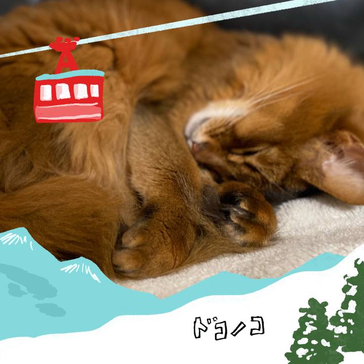 0acd0d5e 5a43 436f add8 d3d5f1036481 1706771535687