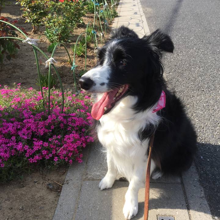 0acd1e17 21ac 4fab a9f2 ee43c0ffeb9c 1522566956405