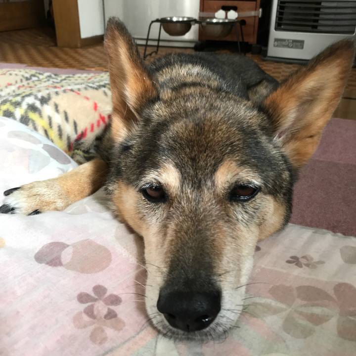 0acd73b7 7b36 4cb4 9a35 acae1a11f765 1531607959793