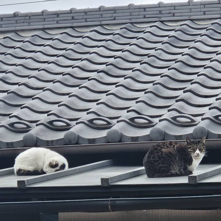 0acd9e67 7920 4004 ae54 f8a47d526b54 1736734087611