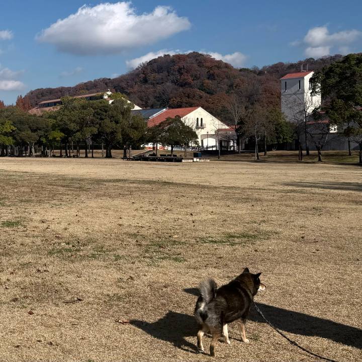 0acda426 3512 4fe9 82e9 1aaf9da70048 1765067289697