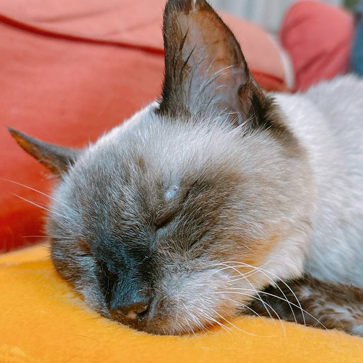 0acdaeea fa0a 4e55 b30b 5ebeefb9496e 1718848077129