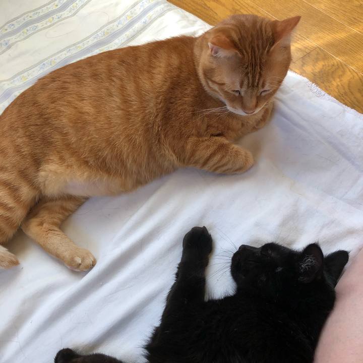 0acdcdcf a58b 4ba3 8c2f 60755c2ea2b8 1562014087562