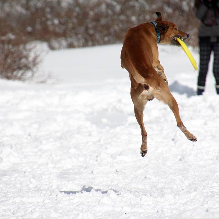 0ace10c0 68b9 476c 9c82 912b62a6cda6 1519793044739