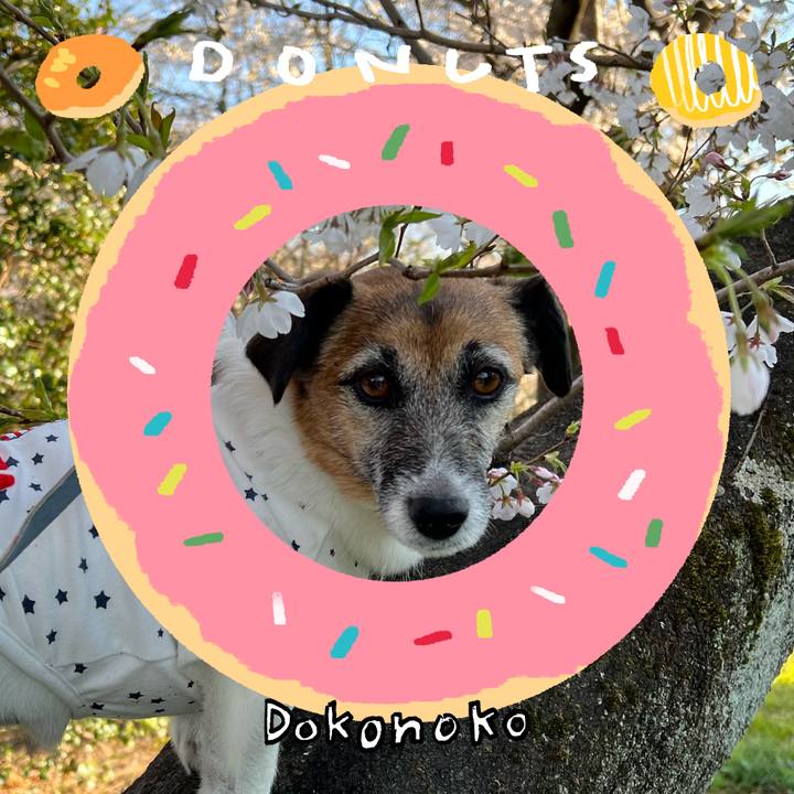 0ace3e76 3263 48bf a25e 68f1995584e8 1744297816109