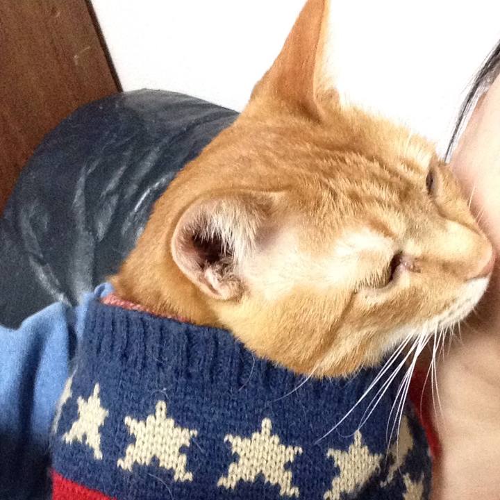 0ace50dd db73 4c6e b5e4 a4cdd09da14d 1542194340272