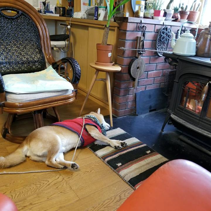 0ace6f22 e110 4fbc 9206 04f13540af72 1516680666239