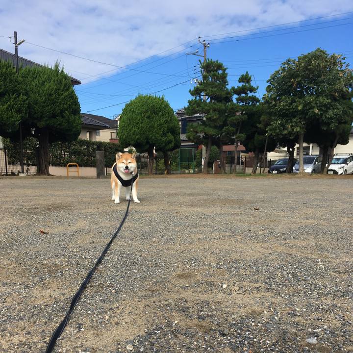 0ace7db5 6ff0 4593 82b2 35bb7a13525f 1568506659207