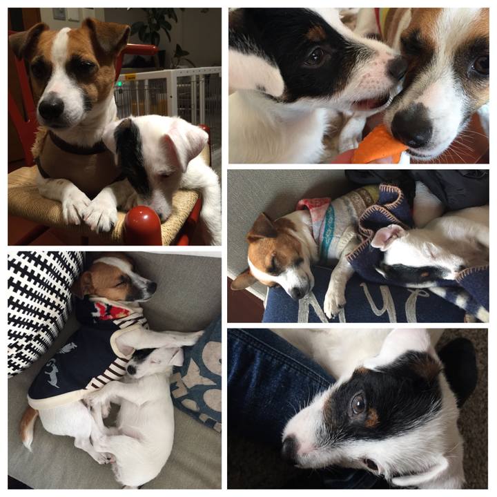 0ace7f5f 7769 46b9 85bd 1a2afbbbaa25 1578490490179