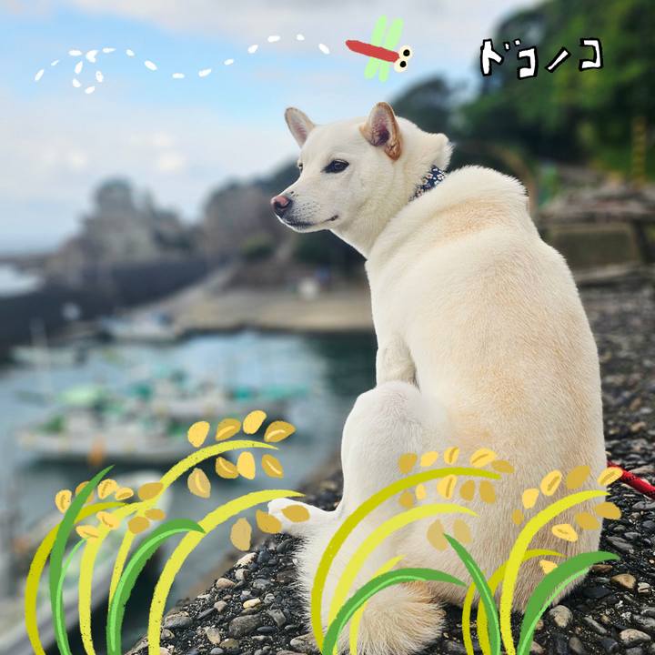 0aceac5d a694 4ee7 a385 c58fedc83bd2 1761267664190