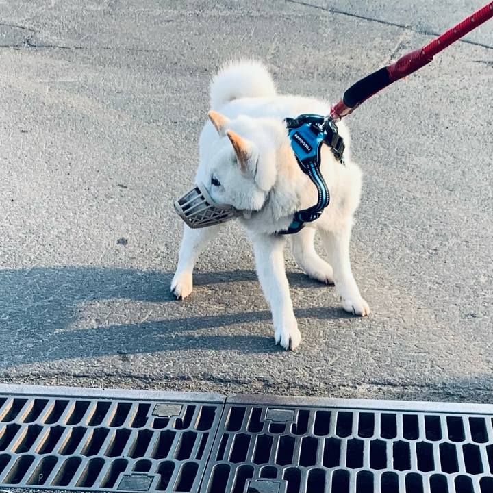 0acf050b 14c7 4248 92ef e18a219eb7ef 1680561302662