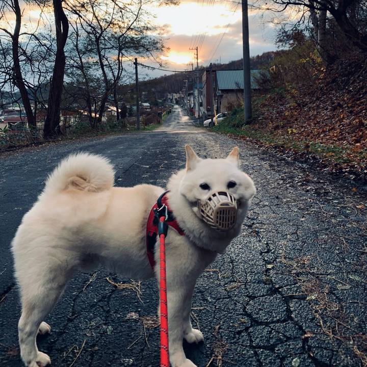 0acf1709 a19e 465f 8105 70324b6ac2fa 1636755851936