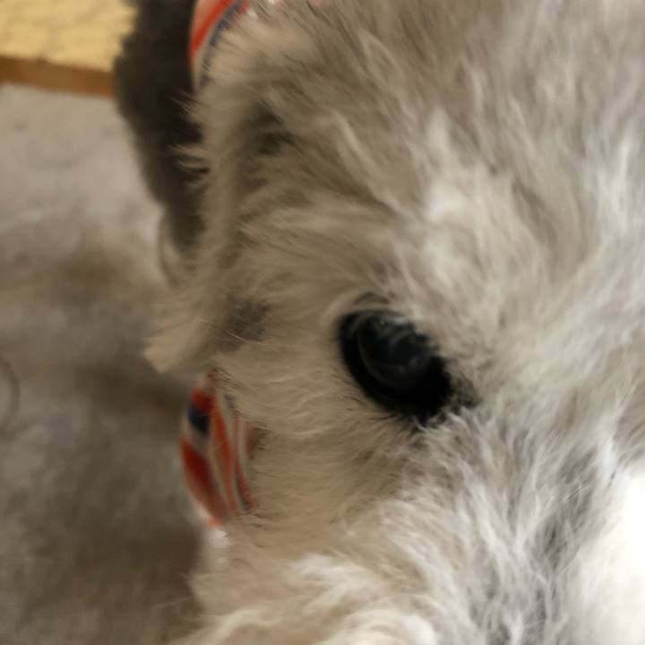 0acf6a43 775c 45bf a861 c8bfe0261eba 1660867240736