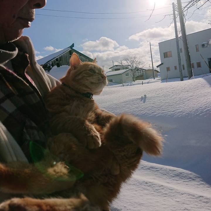 0acfa2ad 33a1 4849 9f40 fcdcd85250a0 1641169397886