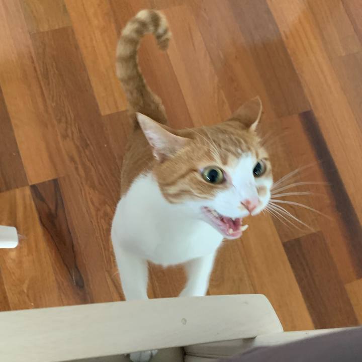 0acfa635 95f5 48bc 950b 9c99640c8a9d 1631222543463