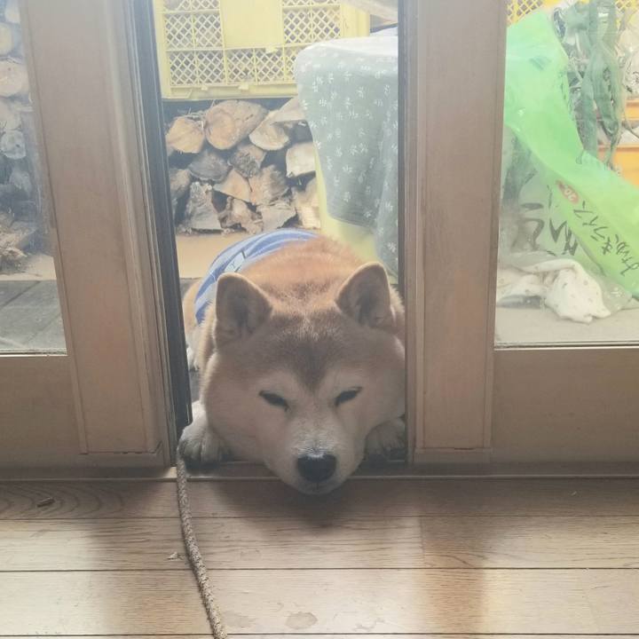 0acfcaec a3ab 445e 8faa 709c522ee8ce 1674097142751